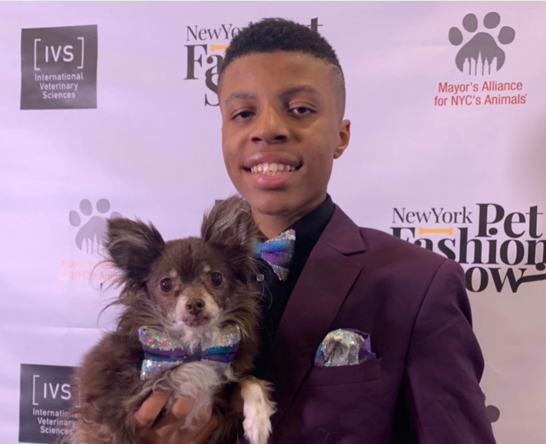 Teen Creates Bow Ties For Shelter Animals To Help Them Get Adopted