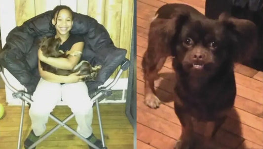 Wisconsin Man Reunites With His Dog After Seeing Him On Television, Years After He Went Missing